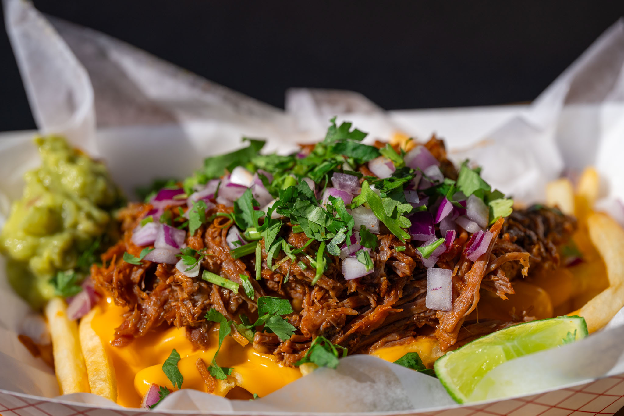 El Zocalo - Birria Fries